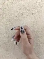 ناخن مصنوعی برجسته راسا طرح طوسی شیری طرح گل و پروانه