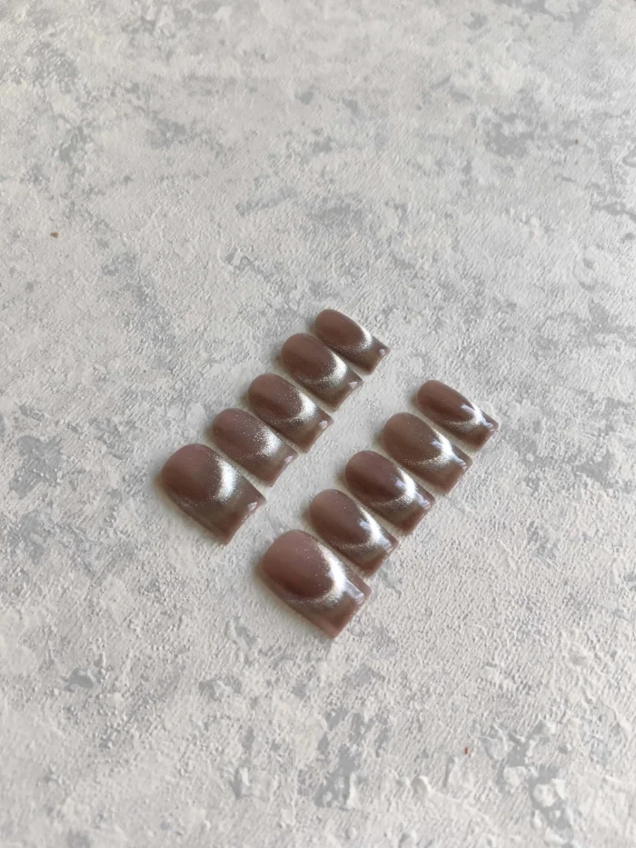 ناخن مصنوعی فرنچ راسا مدل آیس ژل مگنتی رنگ نود