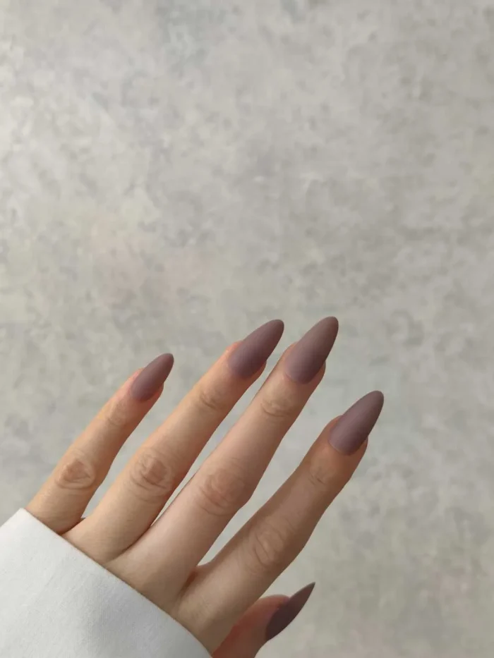 ناخن مصنوعی رنگی ساده راسا رنگ قهوه ای طوسی فرم بادامی مات