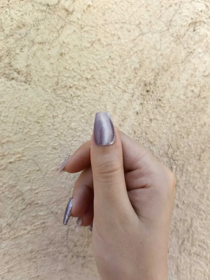 ناخن مصنوعی راسا رنگ یاسی طوسی طرح آیس و پروانه RSR1550