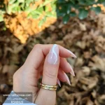 ناخن مصنوعی رنگ ناخن راسا طرح فرنچ کد RSF22