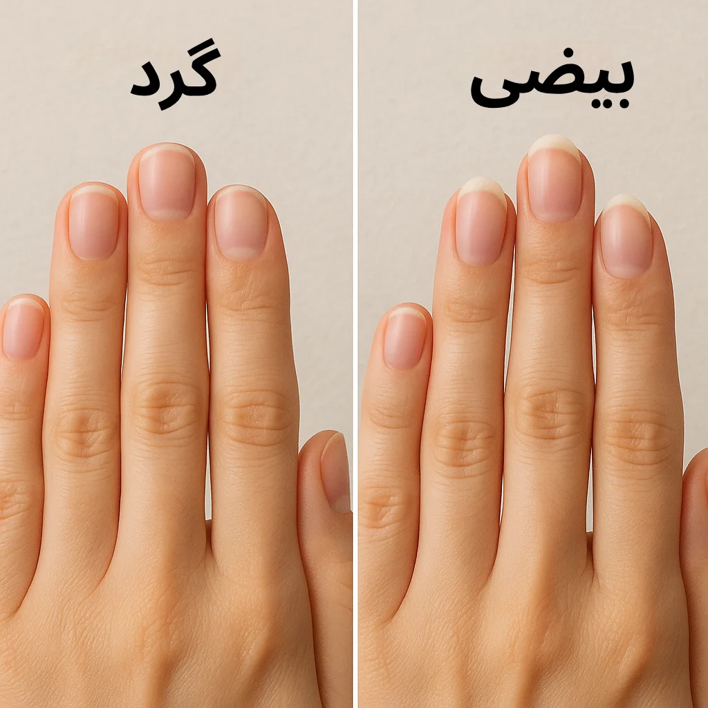 مقایسه ناخن گرد و بیضی در کنار هم