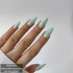 ناخن مصنوعی راسا فرم بادامی رنگ سبز پاستلی براق مدل RSN0448