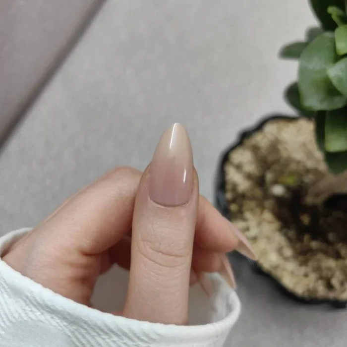 ناخن مصنوعی راسا فرم بادامی رنگ نود کالباسی (هلویی) براق مدل RSN0491