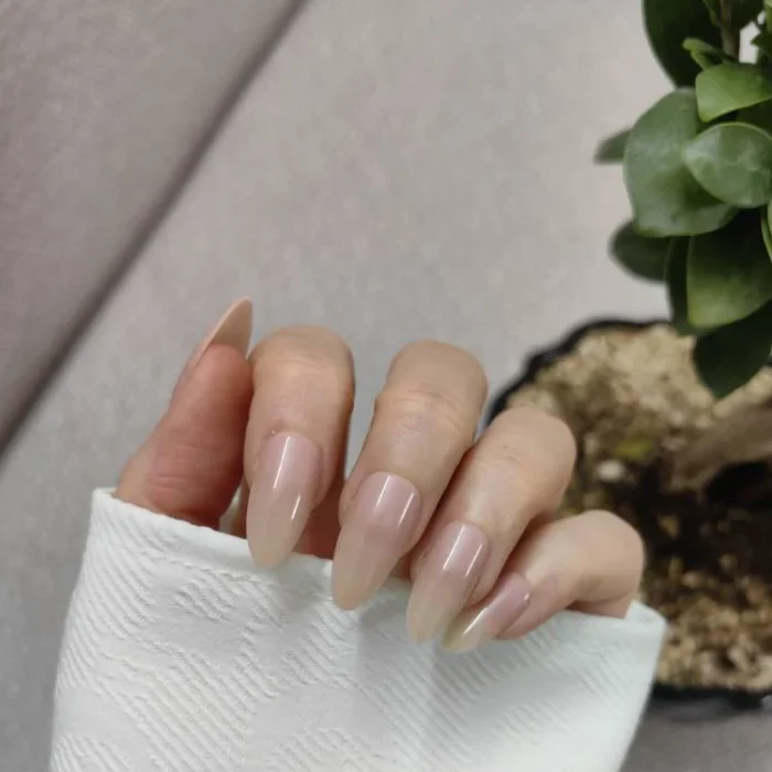 ناخن مصنوعی راسا فرم بادامی رنگ نود کالباسی (هلویی) براق مدل RSN0491